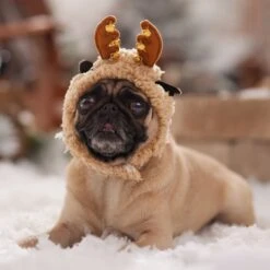 Frisco Sherpa Reindeer Dog & Cat Hat With Bells -Cat Supplies Sale 745646 PT5. AC SS1800 V1694795597