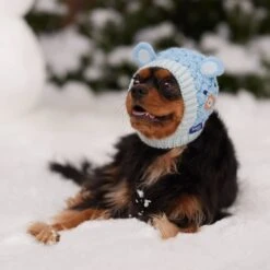 Frisco Nordic Ears Sweater Knit Dog & Cat Hat -Cat Supplies Sale 745710 PT5. AC SS1800 V1695671059