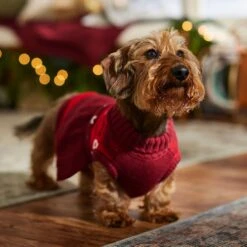 Frisco Nordic Sequin Dog & Cat Sweater Dress -Cat Supplies Sale 745886 PT7. AC SS1800 V1694793874