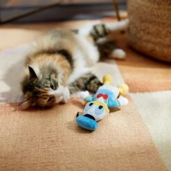 Disney Mickey Mouse Plush Kicker Cat Toy With Catnip + 3 Items -Cat Supplies Sale 929462 PT6. AC SS1800 V1690897484