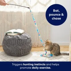 Frisco Fabric Teaser Wand Cat Toy & Frisco Bird With Feathers Teaser Wand Cat Toy With Catnip -Cat Supplies Sale 962094 PT3. AC SS1800 V1694782977