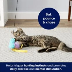 Frisco Fabric Teaser Wand Cat Toy & Frisco Bird With Feathers Teaser Wand Cat Toy With Catnip -Cat Supplies Sale 962094 PT8. AC SS1800 V1694782976